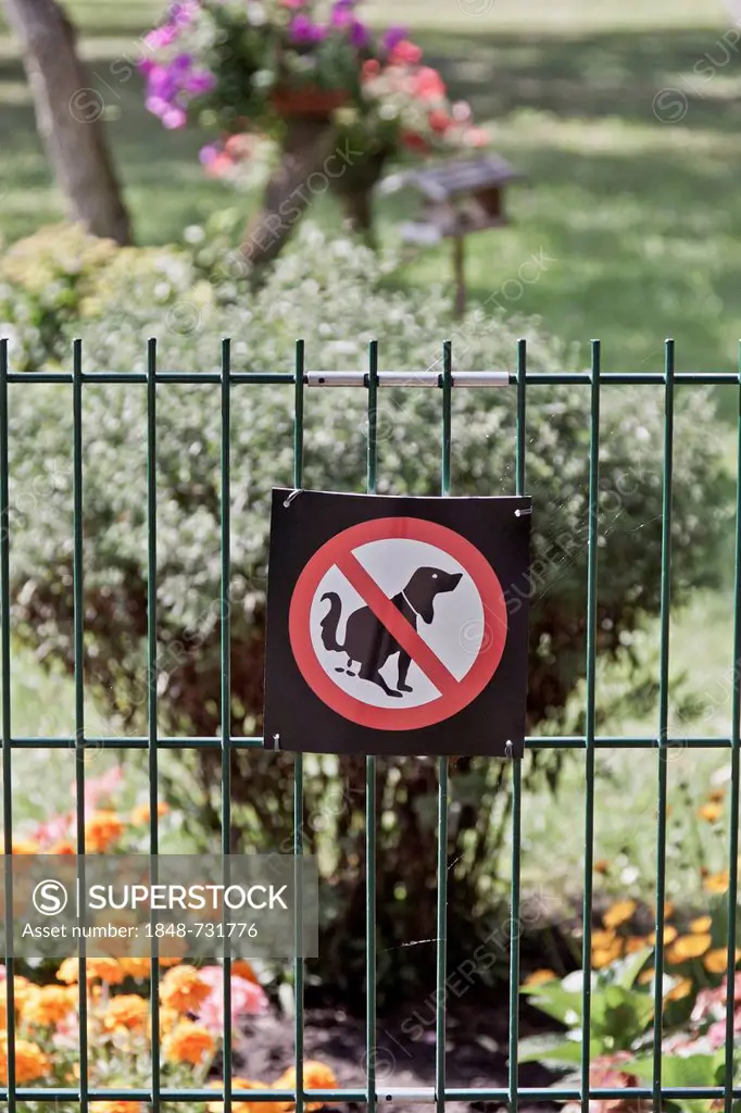 Prohibition sign, no dog dirt, garden, fence