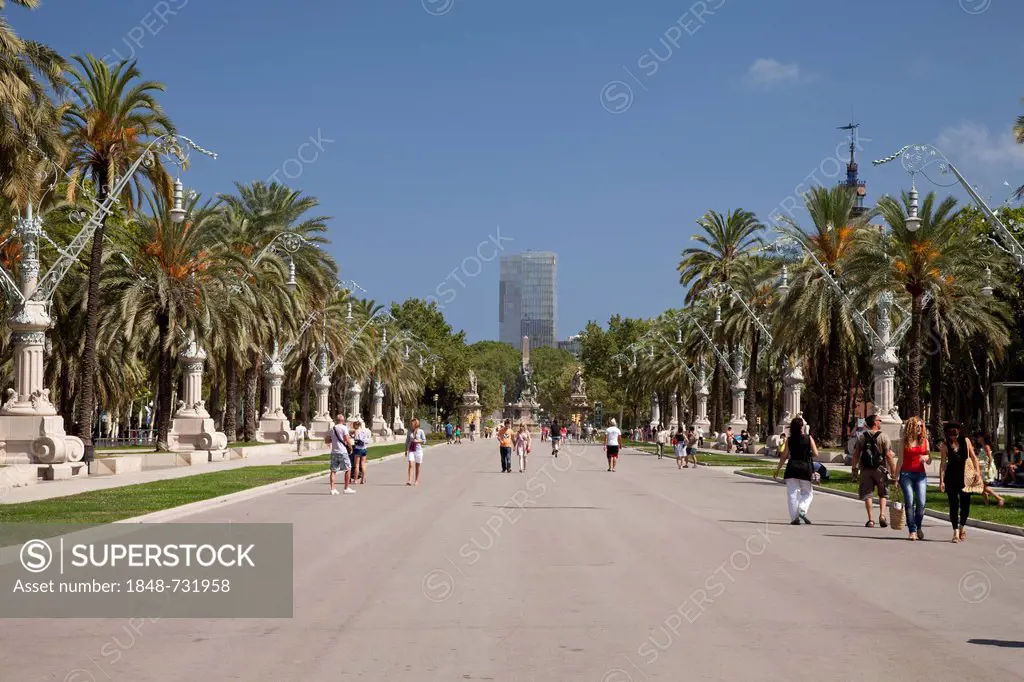 Park area with palm trees, Parc de l'Estació, Barcelona, Catalonia, Spain, Europe, PublicGround