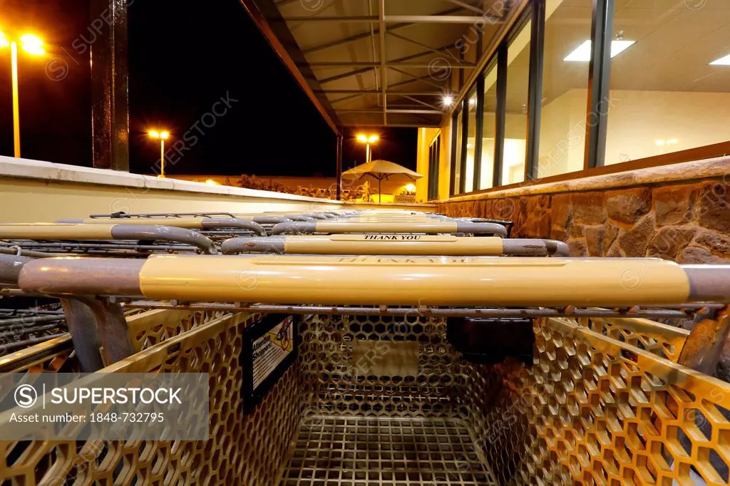 Shopping carts or trolleys, shopping at the supermarket, USA