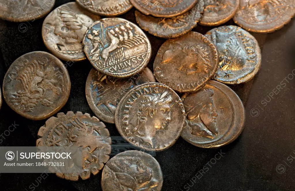 Roman coins, Varus Battle or Battle of the Teutoburg Forest, Kalkriese Museum and Park, Osnabruecker Land region, Lower Saxony, Germany, Europe