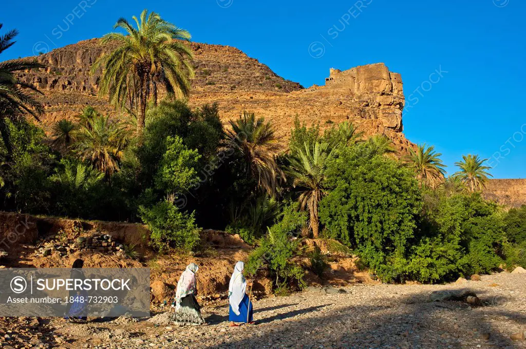 Agadir Aguelluy, fortified castle on a crag, date palms (Phoenix) at front, three Berber women walking through a dry river bed, Amtoudi, Anti-Atlas or...