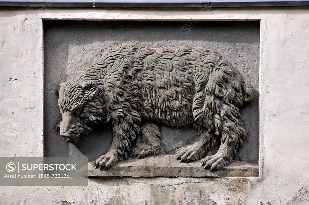 Bear relief on the facade of the Baeren-Apotheke pharmacy, Badenstrasse, Stralsund, Mecklenburg-Western Pomerania, Germany, Europe