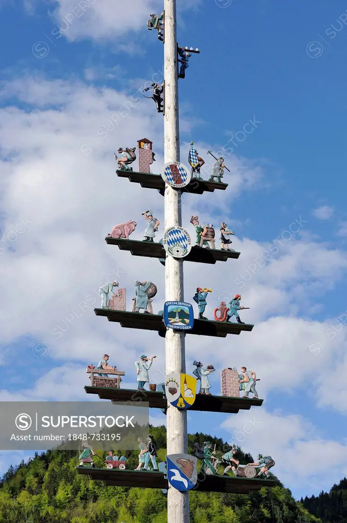 Maypole in Oberwoessen, guild symbols, Chiemgau, Upper Bavaria, Bavaria, Germany, Europe, PublicGround