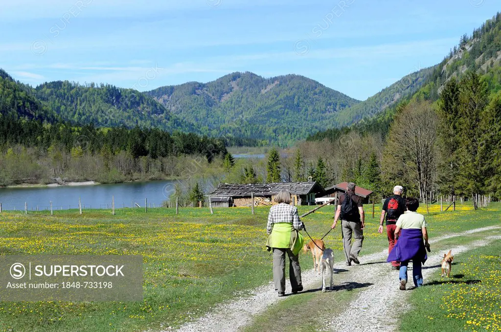 Hikers near Loedensee, Chiemgau, Bavarian Alps, Upper Bavaria, Bavaria, Germany, Europe