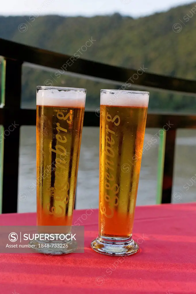Two beer glasses with Eggenberg beer in the restaurant of the Donauschlinge Hotel, Danube, community of Haibach ob der Donau, Hausruckviertel region, ...