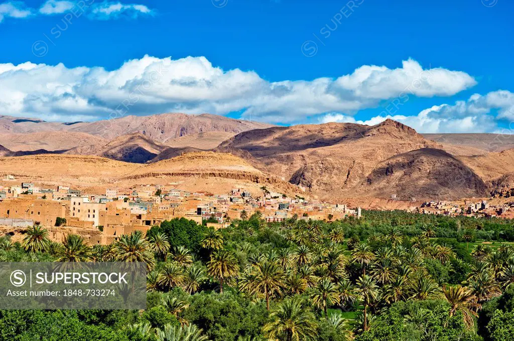 Landscape with an oasis, date palms and fruit trees, a village of mud-walled houses at the back, Ksar or Ksour, Tinghir or Tinerhir, High Atlas, Moroc...