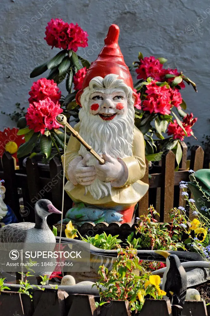 Garden gnome as angler on a pond, Bueches near Buedingen, Hesse, Germany, Europe, PublicGround