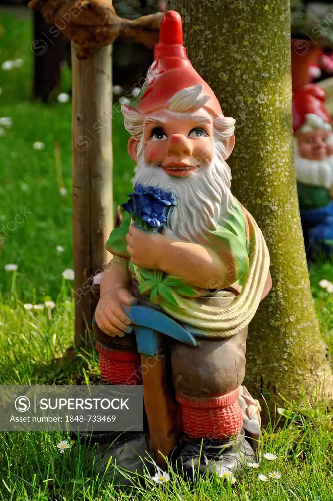 Garden gnome as a mountaineer, Bueches near Buedingen, Hesse, Germany, Europe, PublicGround