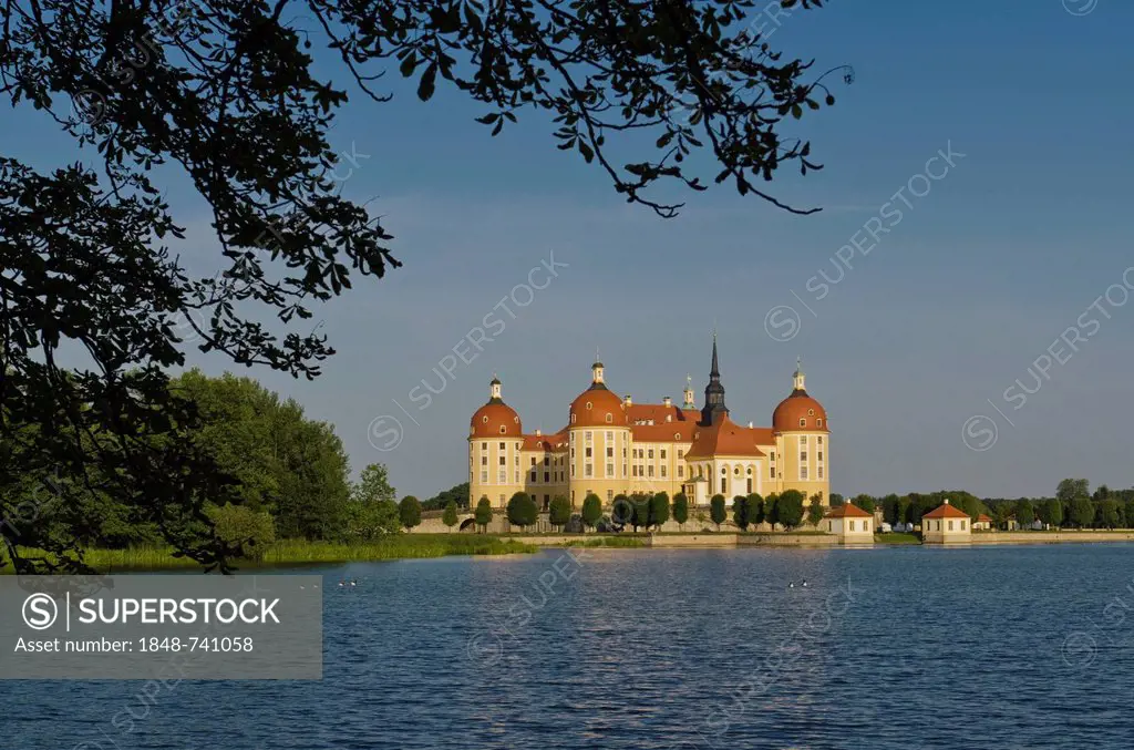 Schloss Moritzburg, a former castle to celebrate hunting, is situated 10 km out of the City Dresden in the middle of beautiful forrests and lakes. Mor...