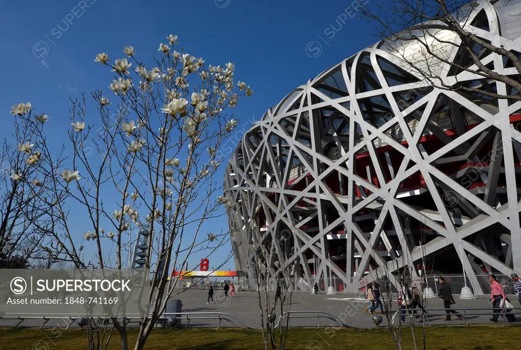 Beijing Olympic Stadium, National Stadium, Bird's Nest, Olympic Green Olympic Park, Beijing, China, Asia
