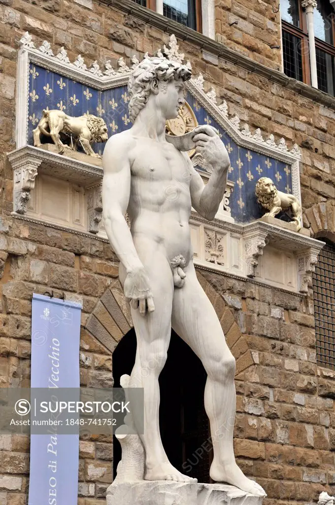 Renaissance statue of David, Michelangelo Buonarroti, Florence, UNESCO World Heritage Site, Tuscany, Italy, Europe