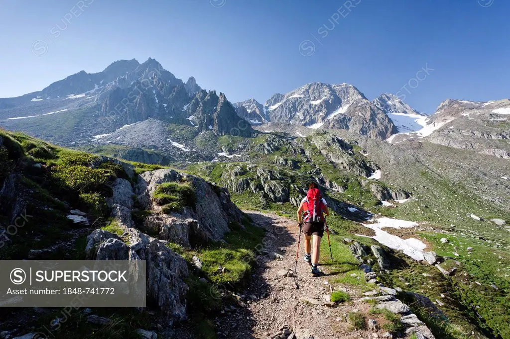 Hiker on the Merano High Mountain Trail, during the ascent to Hochwilde Mountain in the Pfossen Valley, Val Senales, Alto Adige, Italy, Europe