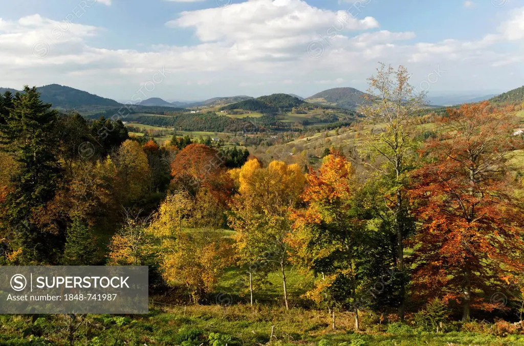 Meygal autumn landscape, Monedeyres, Haute Loire, Auvergne, France, Europe
