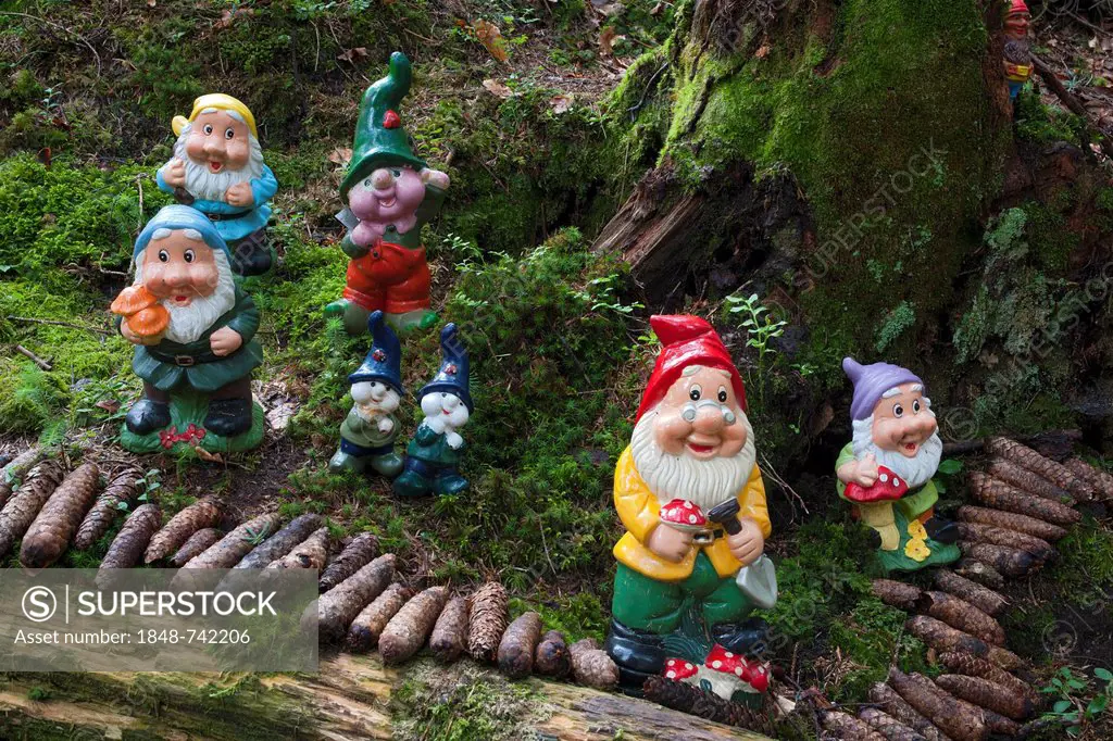 Garden gnomes in a forest playground, Hopfgarten, Tyrol, Austria, Europe