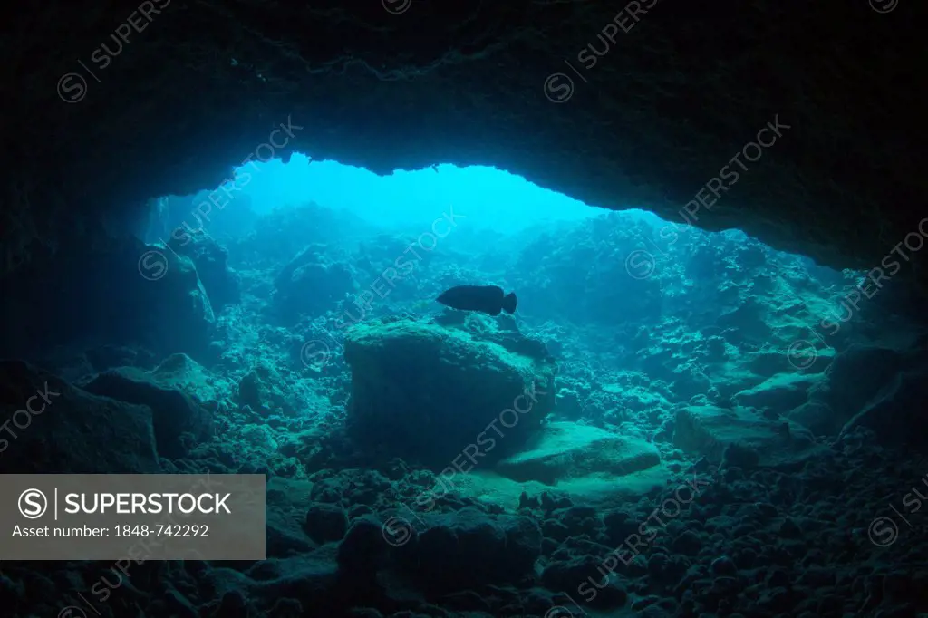 Lava tube under water, Kohala Coast, Big Island, Hawaii, USA