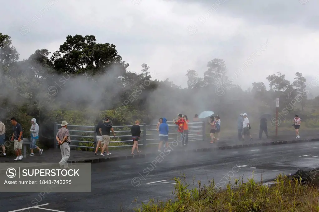 Tourists observing steam vents, hot springs, Hawaii Volcanoes National Park, Big Island, Hawaii, USA