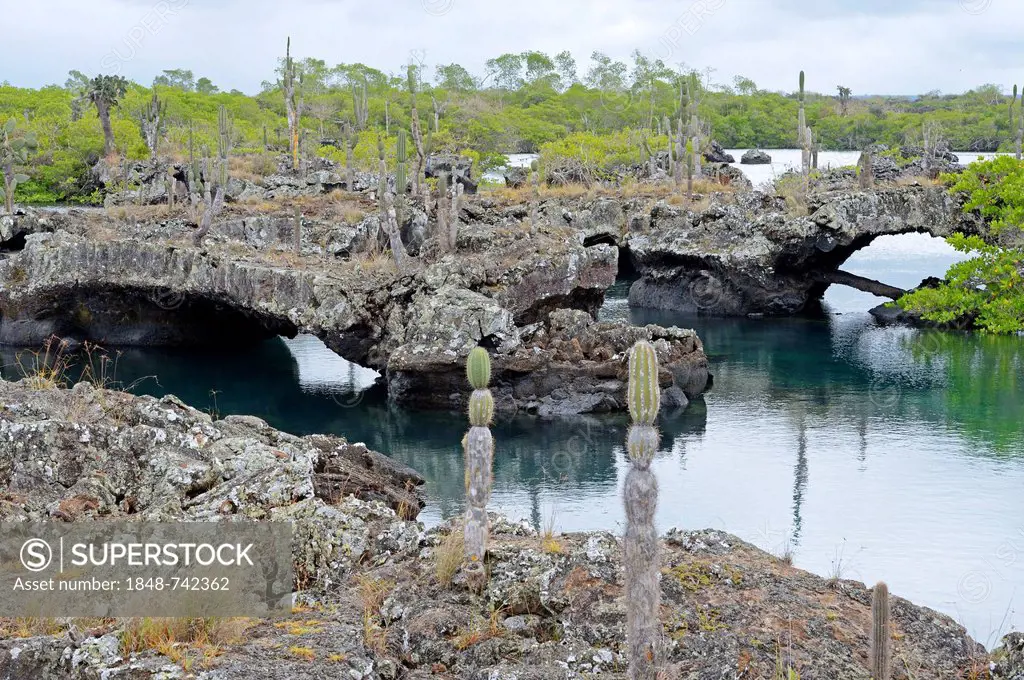 Area of Los Tuneles with lava formations and bridges, southwestern tip of Isabela Island, Galapagos Islands, UNESCO World Heritage Site, Ecuador, Sout...