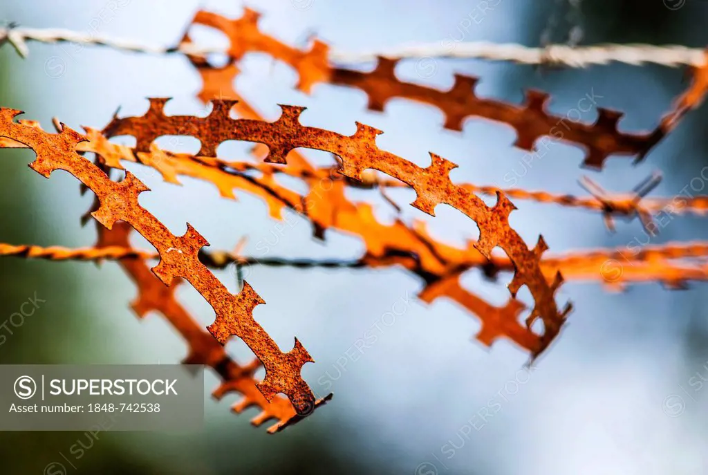 Rusty barbed wire on a fence