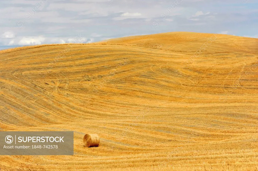 A bale of straw, harvested wheat fields, landscape near Radicofani and Monte Amiata, province of Siena and Grosseto, Tuscany, Italy, Europe