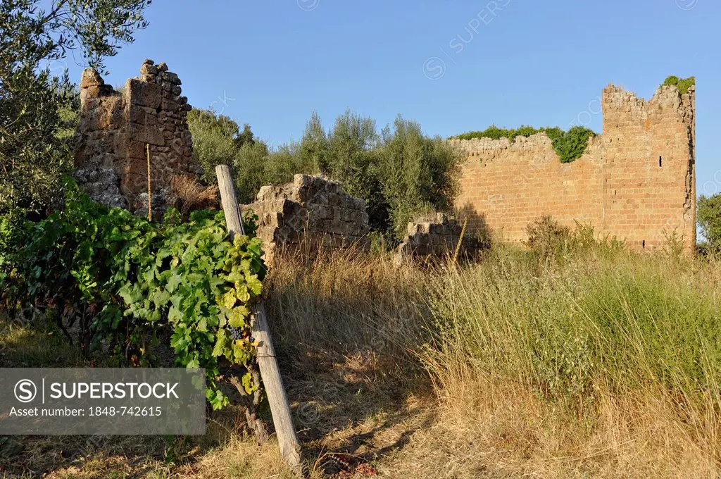 Remains of the Cappella di San Giovenale chapel, 9th century, Castello dei Di Vico Fortress, 13th century, archaeological zone at San Giovenale, near ...