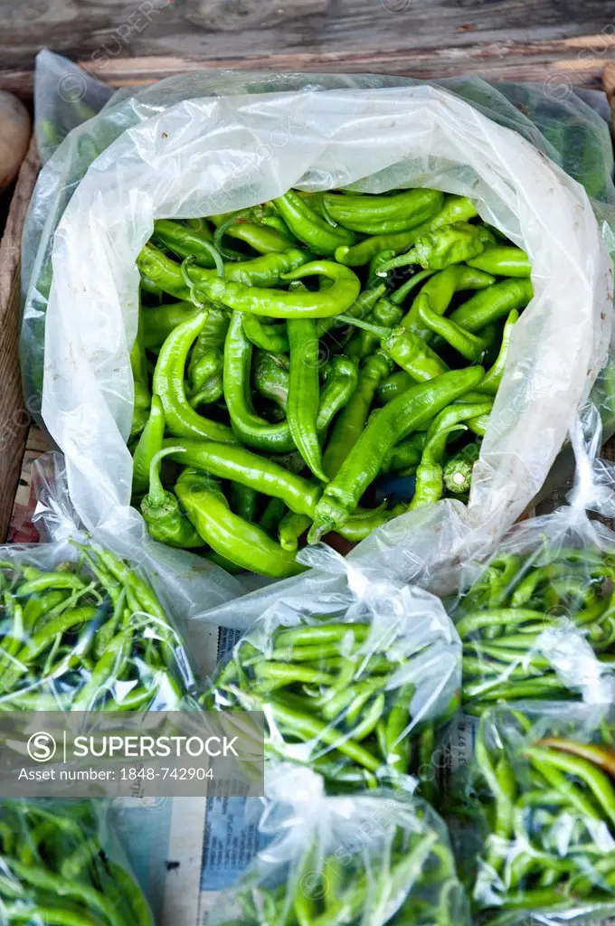 Fresh green chilis on sale at the market in plastic bags, Turkey