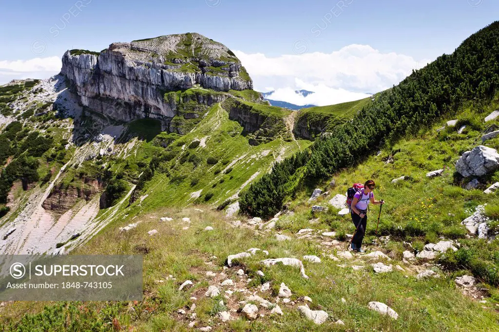 Hiker during the ascent of Cornetto Mountain in the Tre Cime del Monte Bondone nature reserve, Dos d'Abramo Mountain at the rear, Trentino, Italy, Eur...