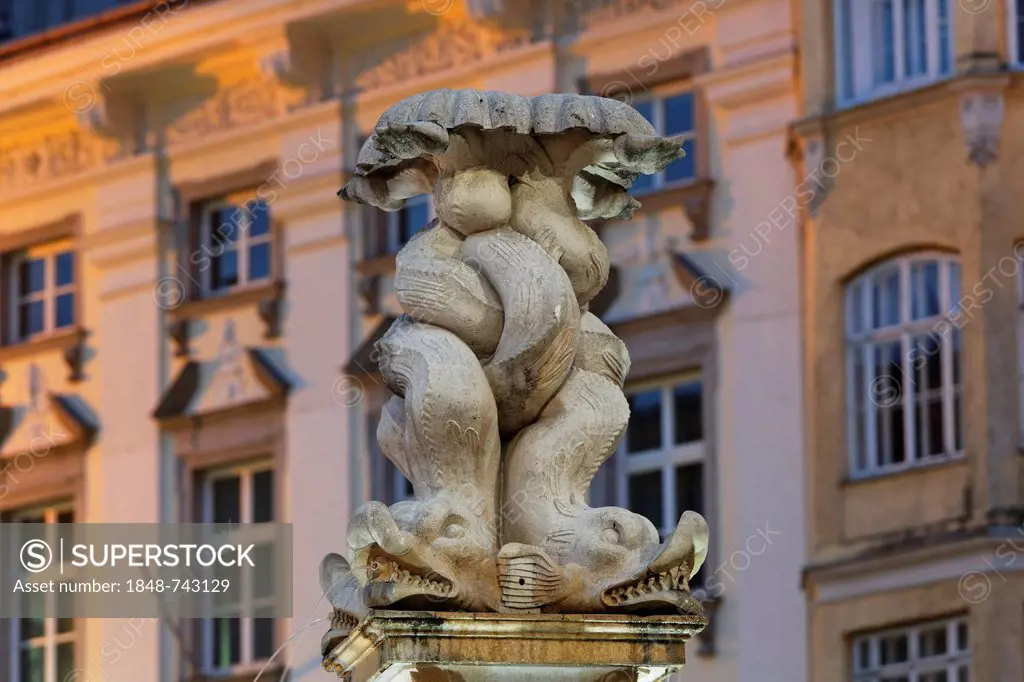 Neptunbrunnen fountain on Hauptplatz square, Linz, Upper Austria, Austria, Europe, PublicGround