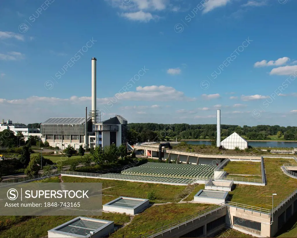 Bonn sewage plant on the Rhine river, Bonn, North Rhine-Westphalia, Germany, Europe, PublicGround