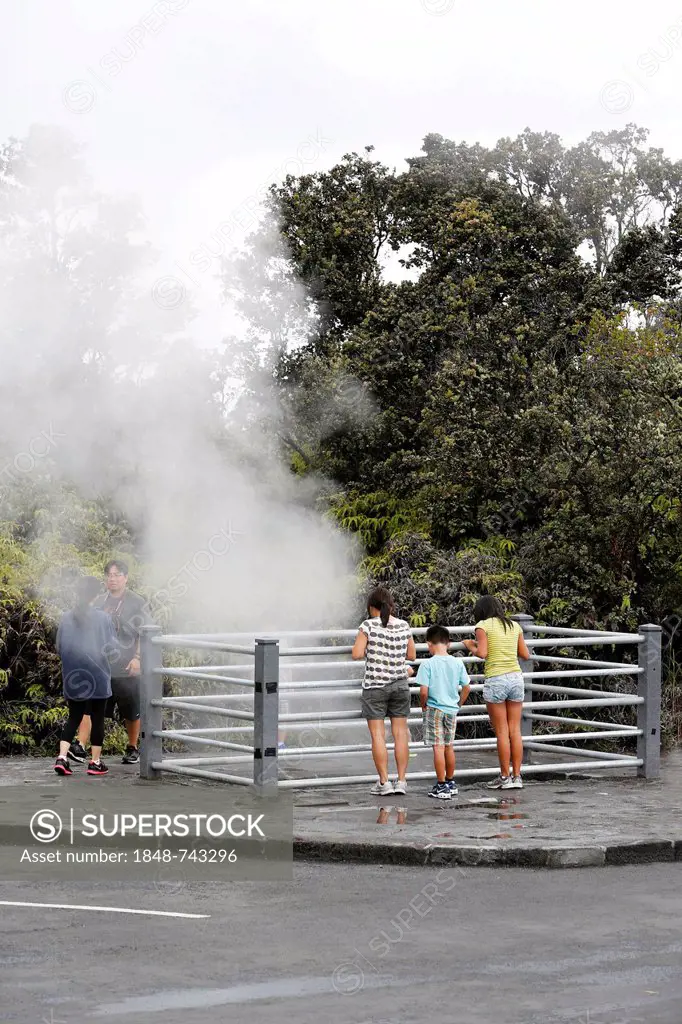 Steam vents, hot springs, Hawaii Volcanoes National Park, Big Island, Hawaii, USA