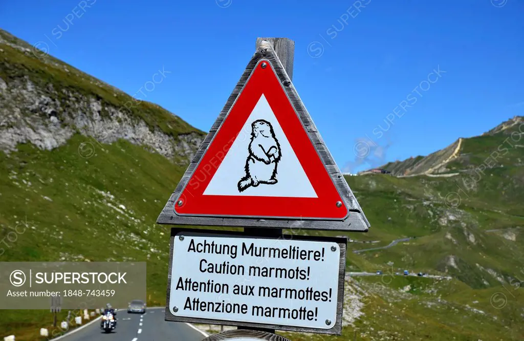Warning sign, marmots, Grossglockner High Alpine Road, Austria, Europe
