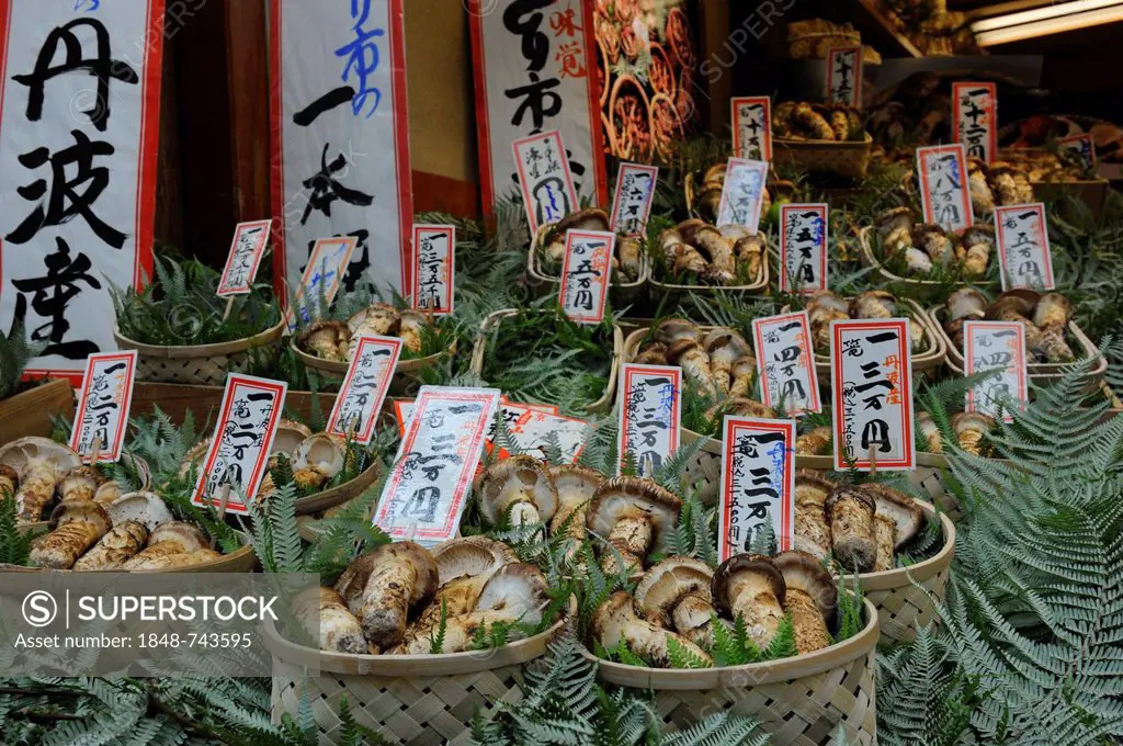 A gourmet food store offering bamboo shoots and mushrooms, including matsutake, pine mushrooms (Tricholoma matsutake), very expensive mushrooms, Teram...