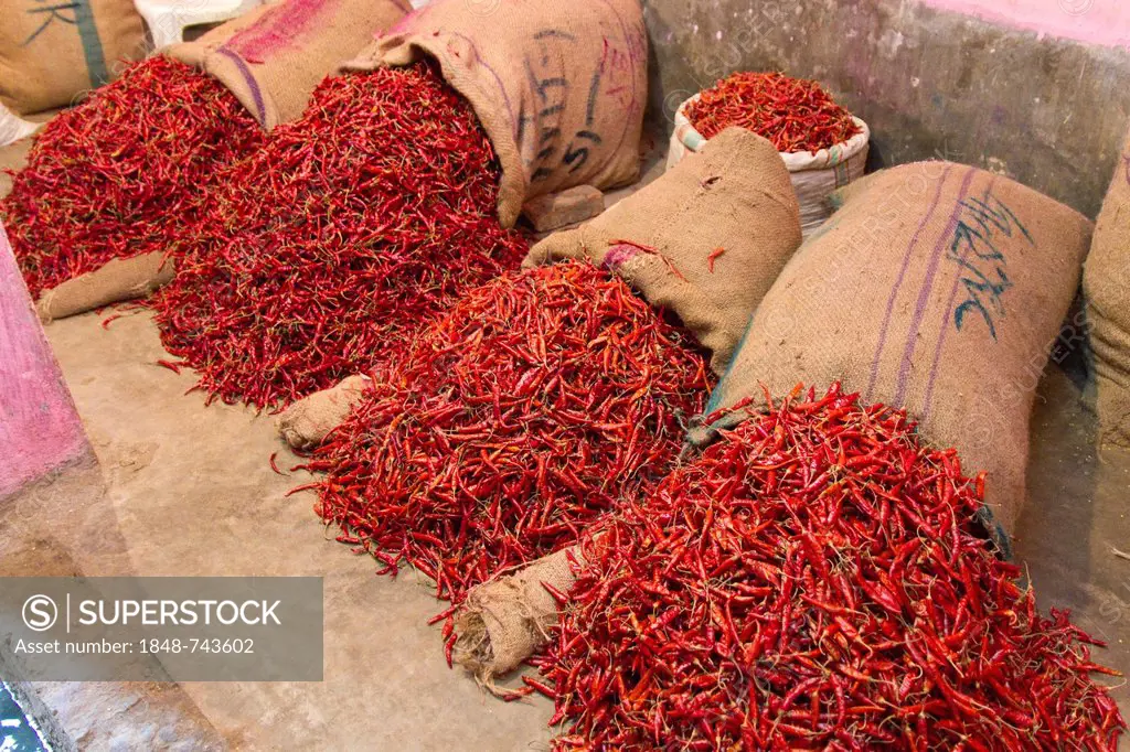 Dried chili peppers, bags, spice market, Old Dhaka, Dhaka, Bangladesh, South Asia