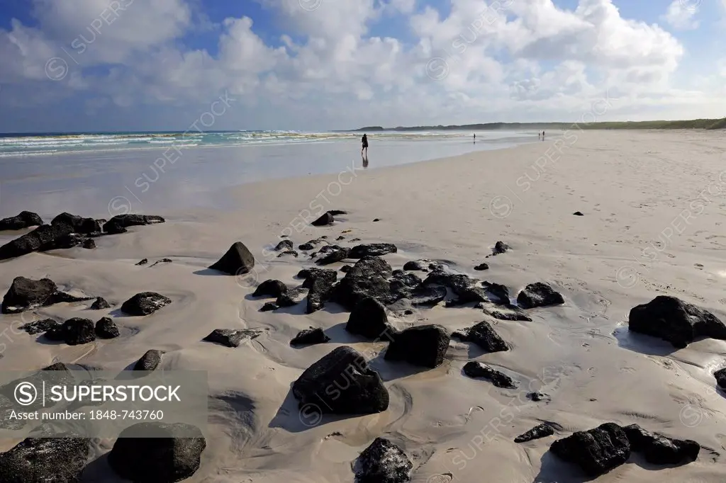 Beach of Tortuga Bay, Santa Cruz Island, Galapagos Islands, UNESCO World Natural Heritage Site, Ecuador, South America