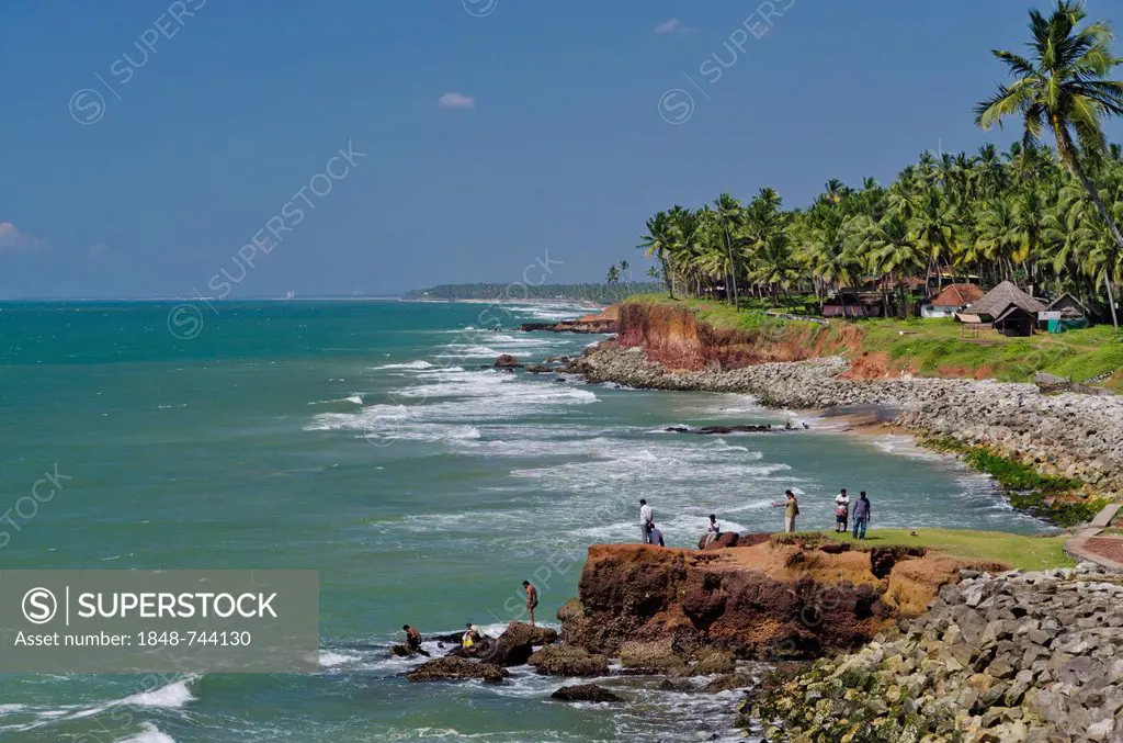 Beachline with palm trees along the coast near Varkala, India, Asia