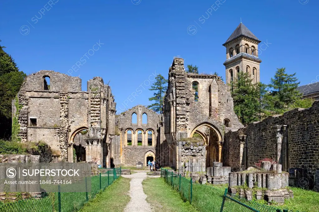 Ruins of the Cistercian Abbey of Orval, Abbaye Notre-Dame d'Orval, Villers-devant-Orval, Wallonia, Belgium, Europe