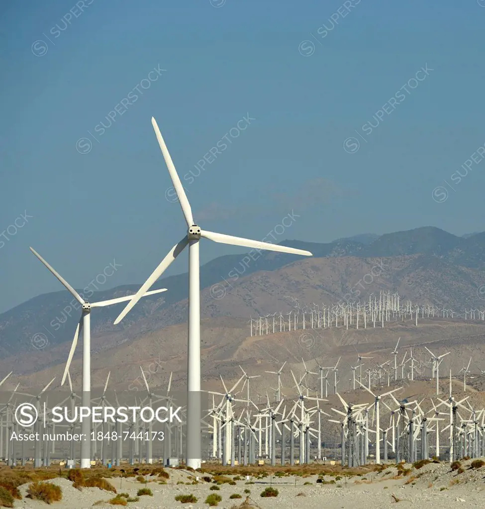 Wind energy, San Gorgonio Pass Wind Farm, operated by ExxonMobil, one of the three largest wind farms in the United States, Palm Springs, San Bernadin...