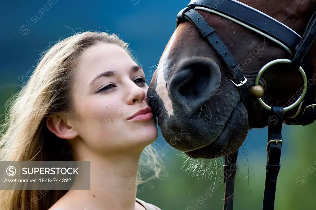 Young woman cuddling with an Oldenburger horse, bay, North Tyrol, Austria, Europe