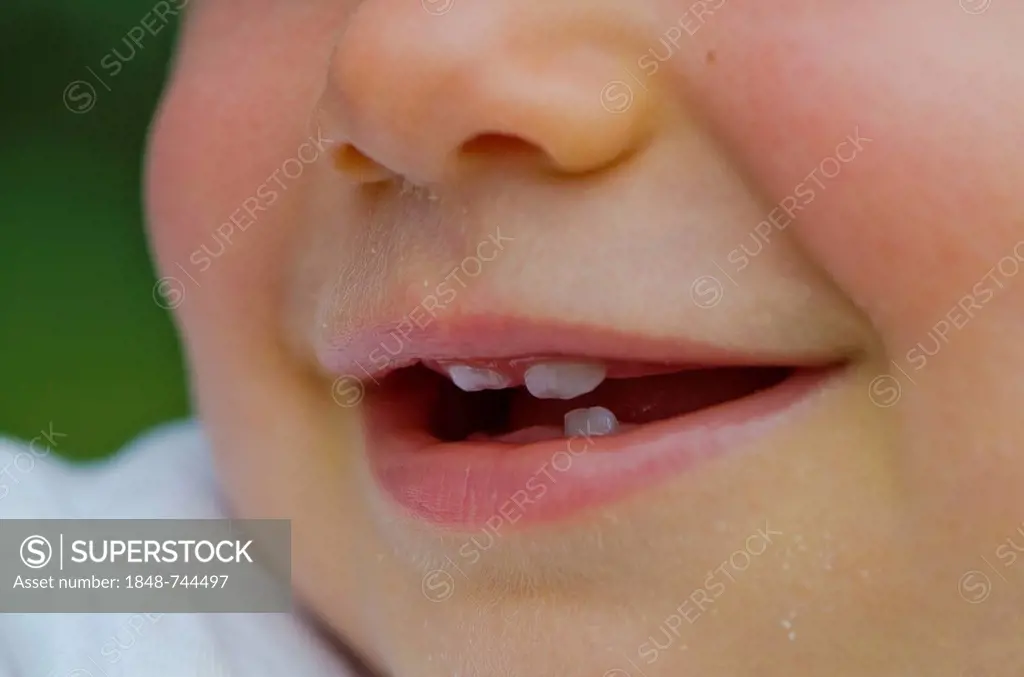 Mouth of a one year old girl with the first teeth, Dresden, Saxony, Germany, Europe