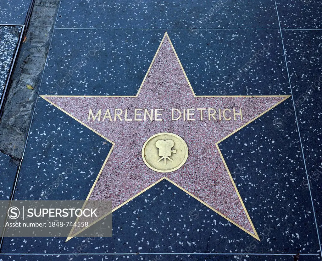Terrazzo star for the artist Marlene Dietrich, film category, Walk of Fame, Hollywood Boulevard, Hollywood, Los Angeles, California, United States of ...