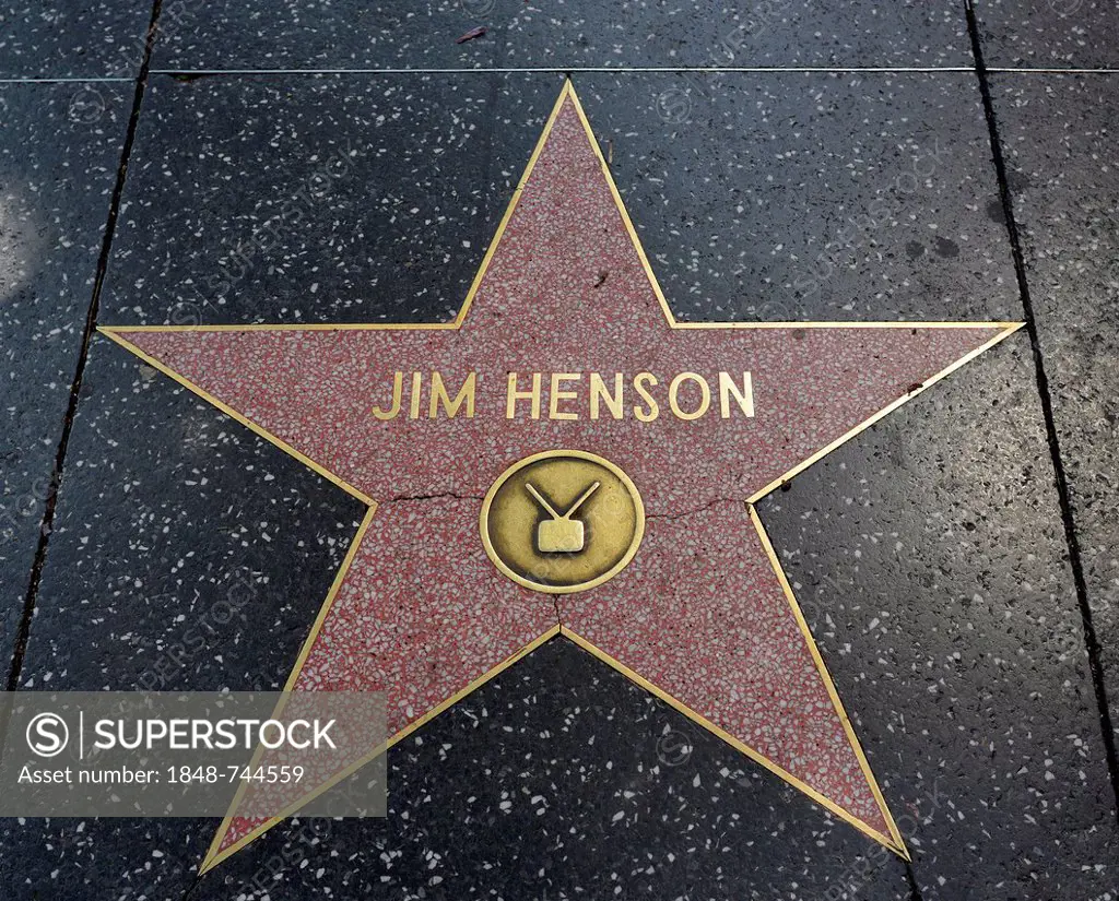 Terrazzo star for the artist Jim Henson, television category, Walk of Fame, Hollywood Boulevard, Hollywood, Los Angeles, California, United States of ...