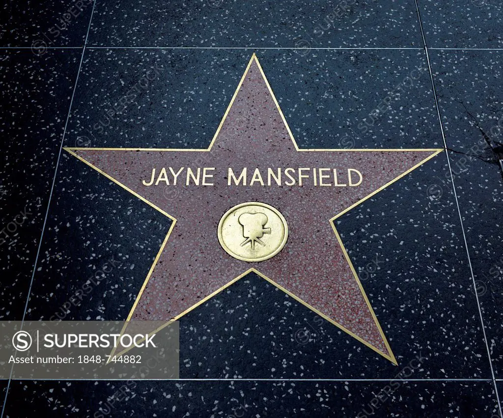 Terrazzo star for the artist Jayne Mansfield, film category, Walk of Fame, Hollywood Boulevard, Hollywood, Los Angeles, California, United States of A...