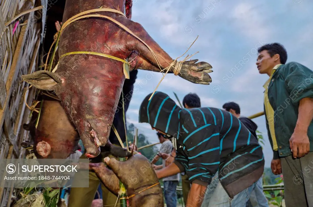 Villagers of the Nishi tribe offering smoked pork at a wedding ceremony in Peni village, India, Asia