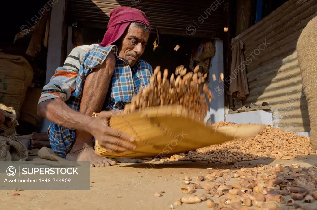 Peanut roaster at work at the market of Allahabad, India, Asia