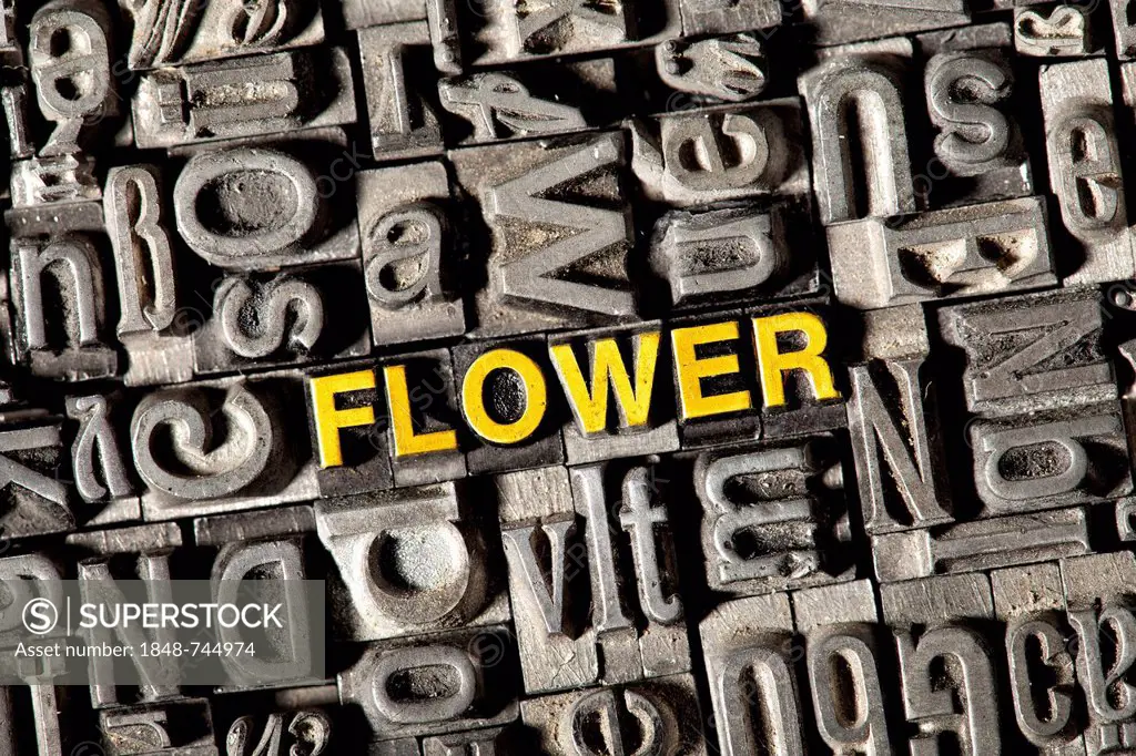 Old lead letters forming the word FLOWER