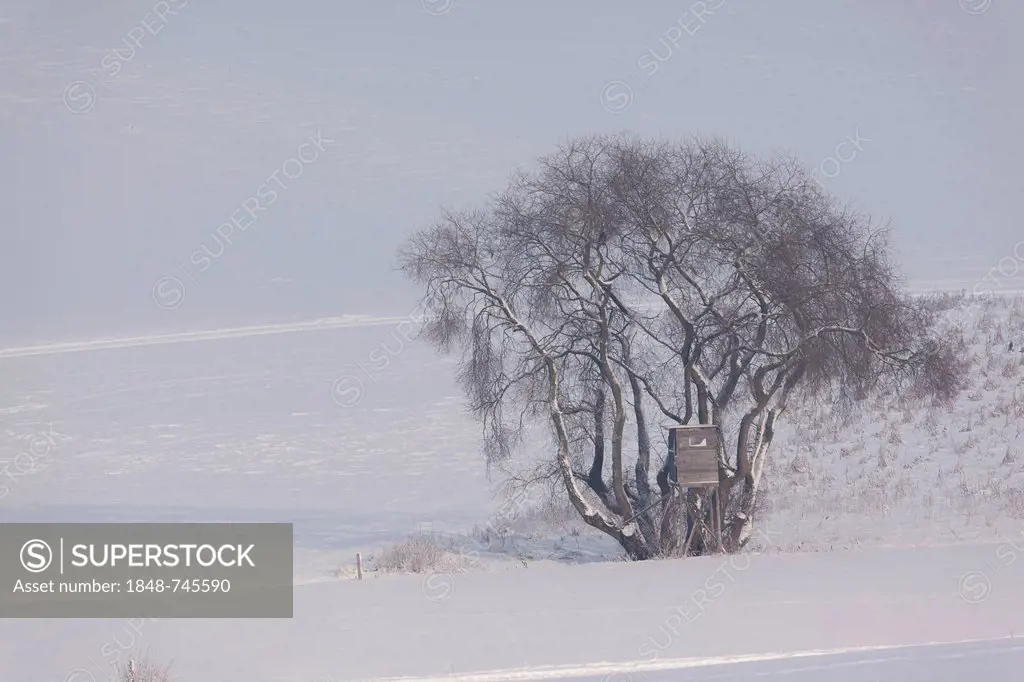 A deerstand and a tree, winter scenery, Limburg an der Lahn, Hesse, Germany, Europe