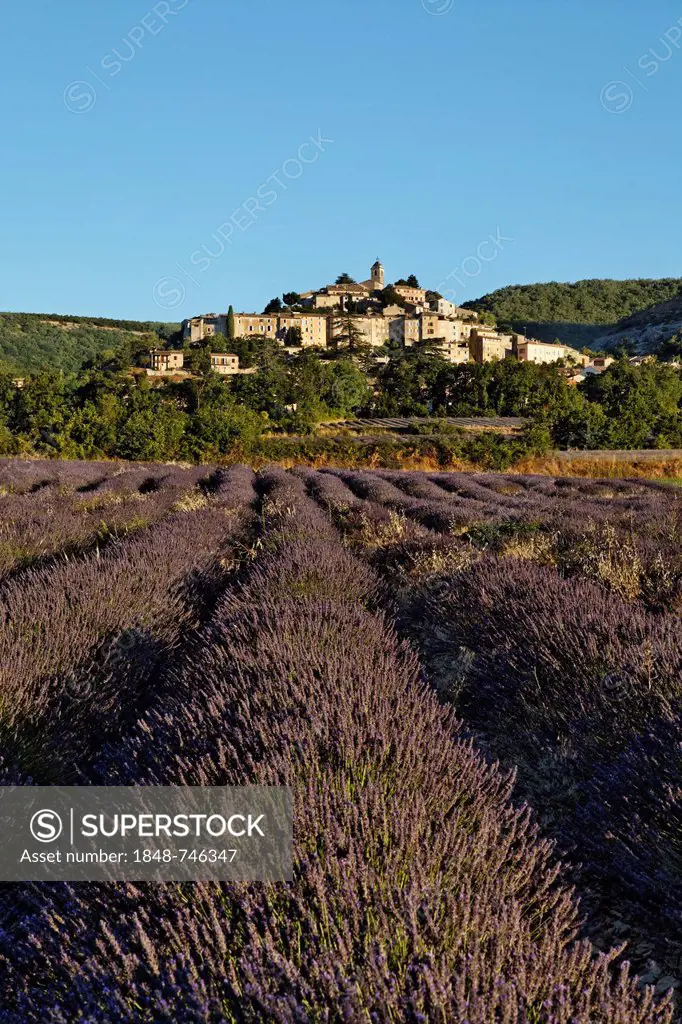 Mountain village of Banon with lavender fields, Forcalquier, Provence region, Département Alpes-de-Haute-Provence, France, Europe