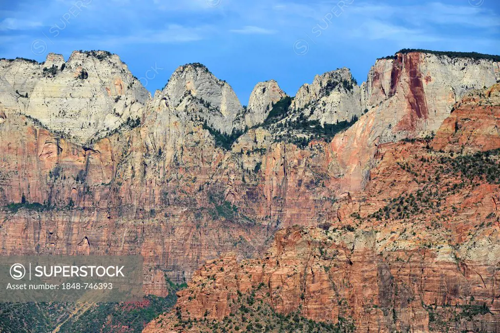 Canyon Overlook lookout point with the Towers of the Virgin Mountains, Altar of Sacrifice, Zion National Park, Utah, United States of America, USA