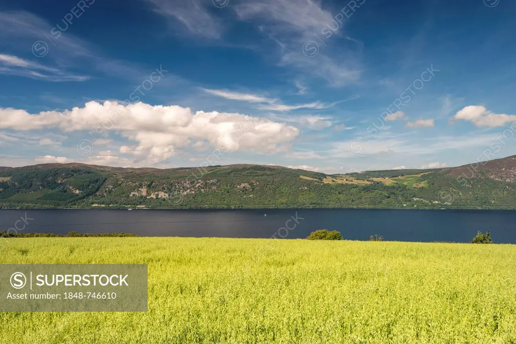 View over an oat field towards Loch Ness, North West Highlands, Scotland, United Kingdom, Europe