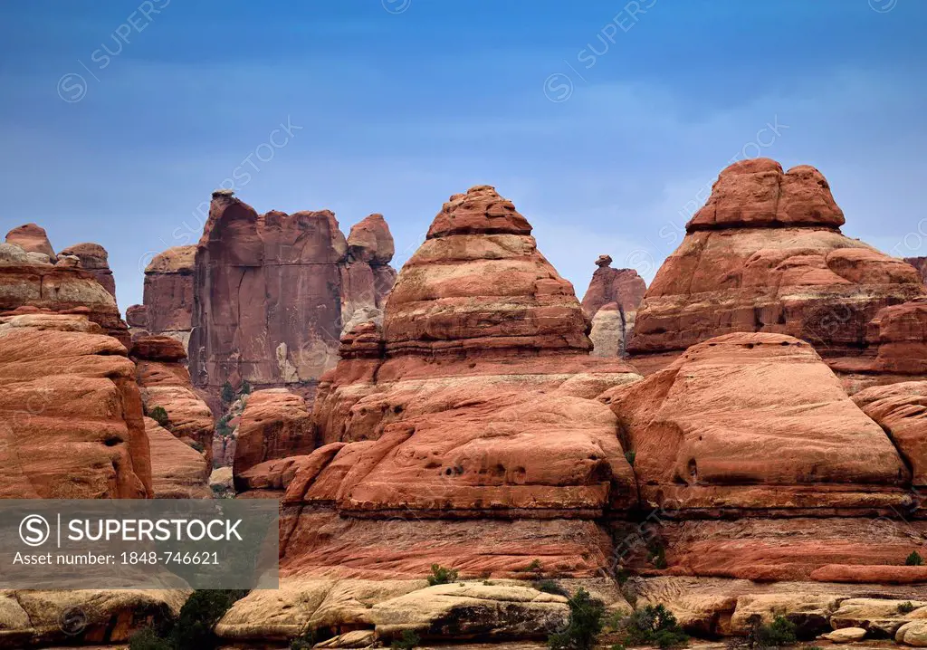 Pinnacles at Elephant Hill District, The Needles District, Canyonlands National Park, Utah, United States of America, USA
