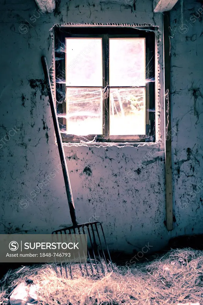 Old dilapidated building, interior view